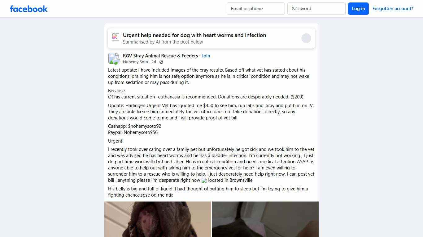 RGV Stray Animal Rescue & Feeders | Latest update: I have Included Images of the xray results | Facebook